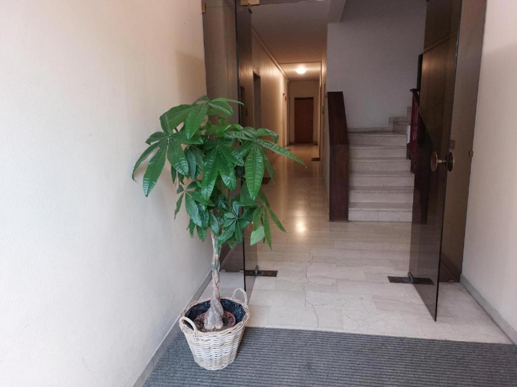In Blu Santo Ospedale Lägenhet Padua Exteriör bild